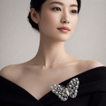 Model wearing image